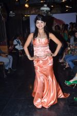 at Designer Aarti Vijay Gupta showcases collection in Rude Lounge on 30th Jan 2012 (2).JPG